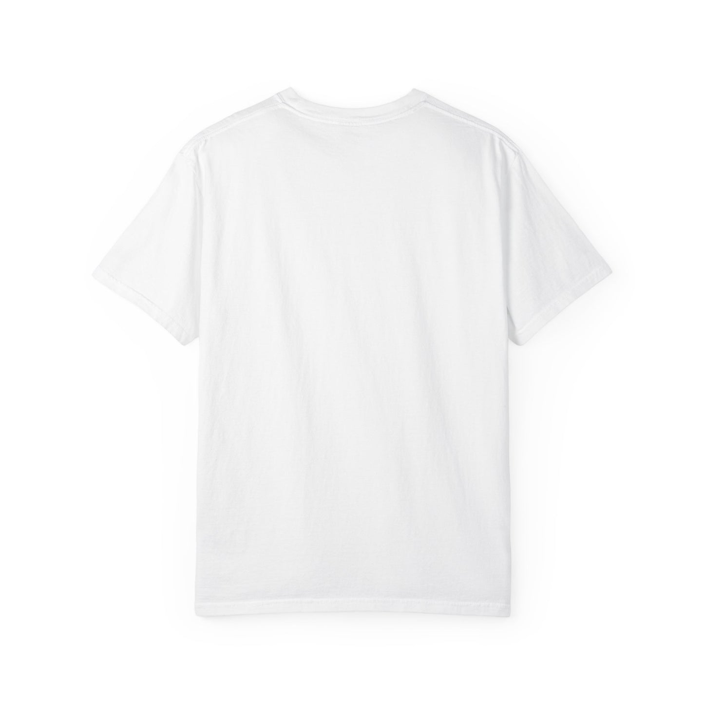 Garment-Dyed T-shirt - Democracy vs. Dictatorship Statement tee