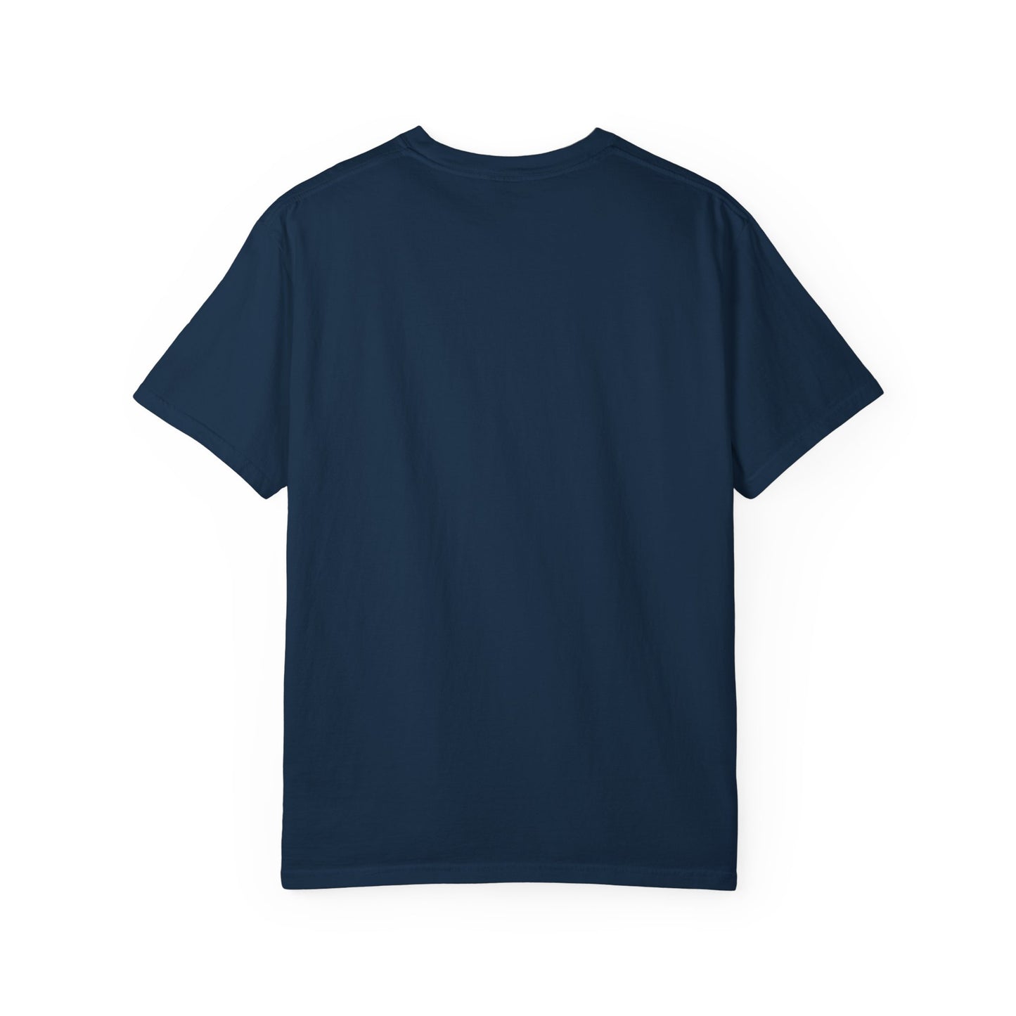 Garment-Dyed T-shirt - Democracy vs. Dictatorship Statement tee